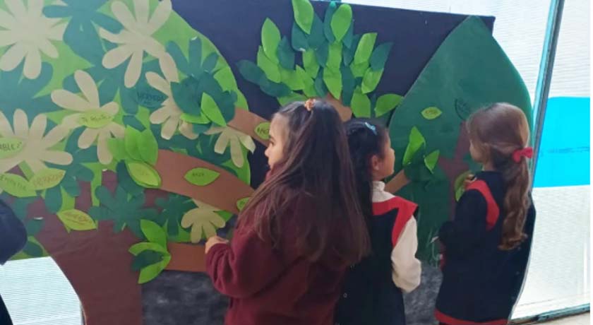 «Vínculos respetuosos» en Jardín